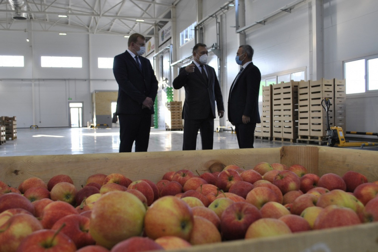 Под Ростовом открылся крупный фруктовый центр на 2500 тонн хранения